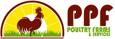 poultryfarm