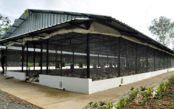 Poultry Building Constructions